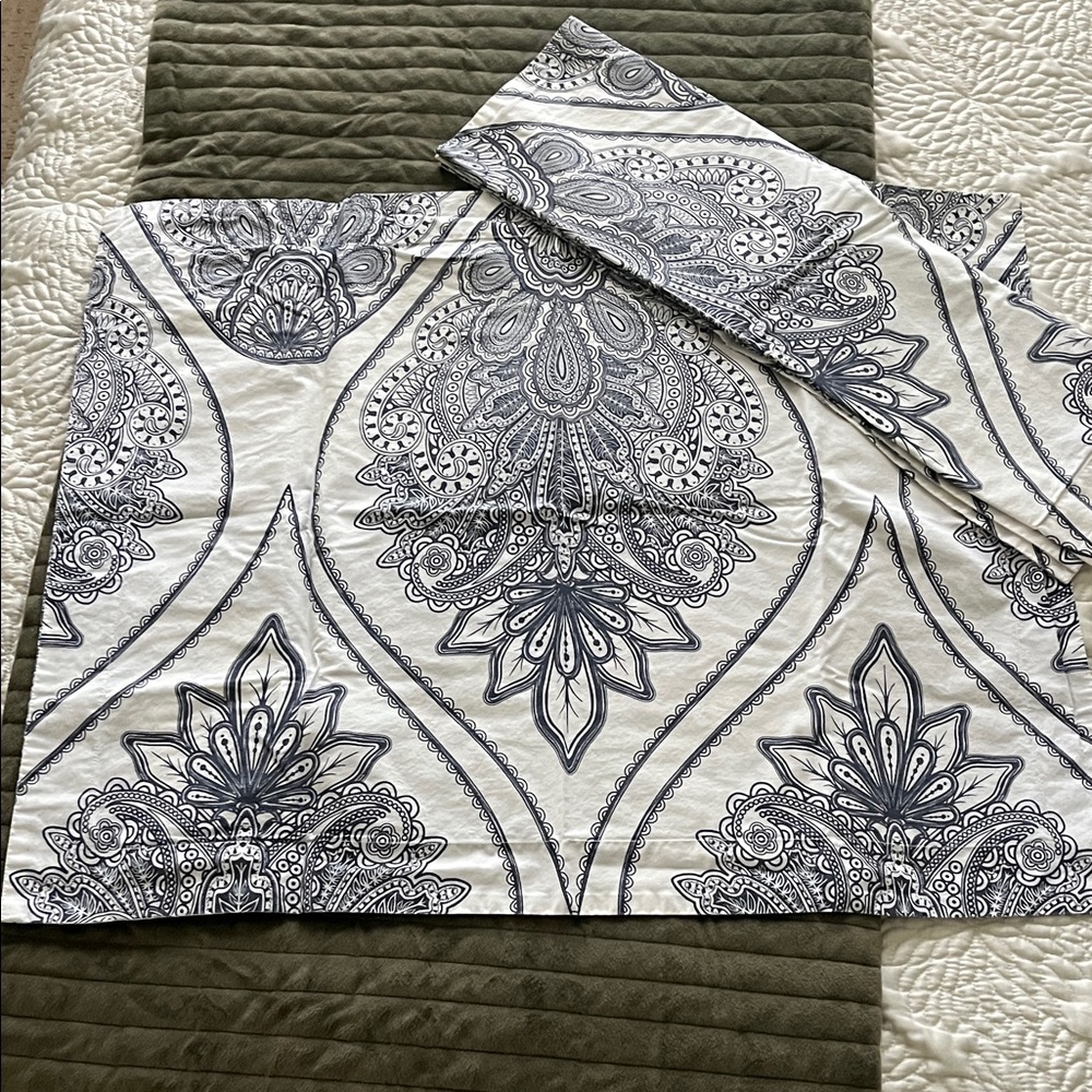 Pottery Barn Blue and White Paisley Pillowcases (2)